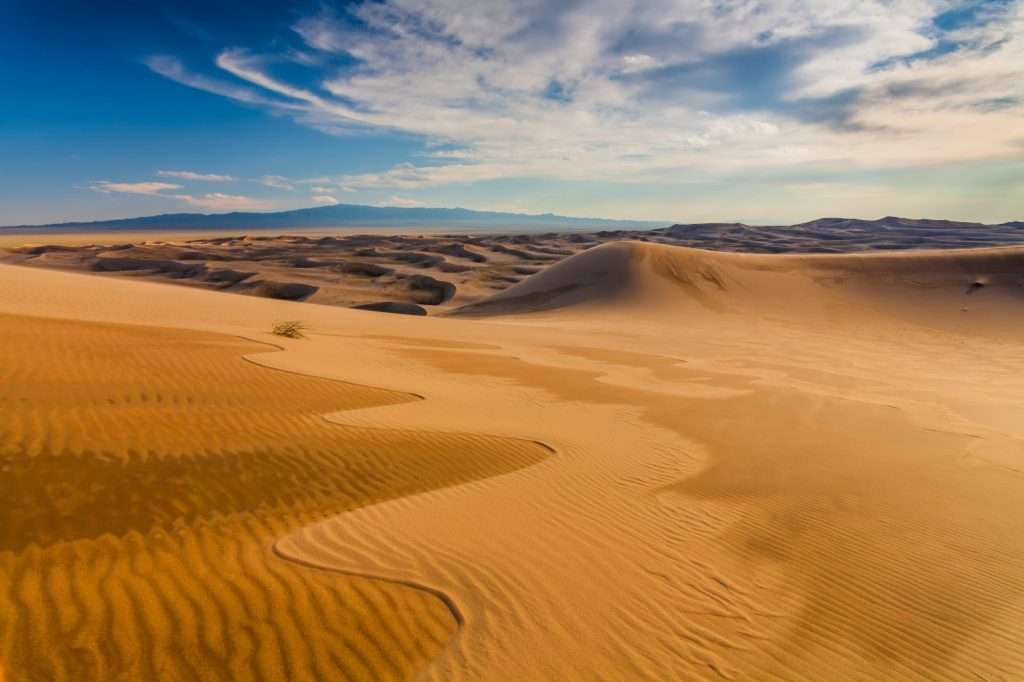 Paisagem desértica ilustrando o conceito de "licitação deserta", onde não há propostas no processo licitatório, gerando um cenário de vazio e estagnação.